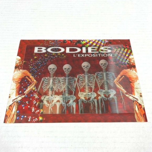 People Bodies Skeleton Shifting 3d 3-d Lenticular Photograph Image Medical Promo - Picture 2 of 5